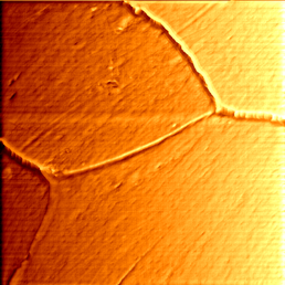 Atomic force microscope scan of a healthy hair, showing the flat plates of the cuticle meeting along raised edges.