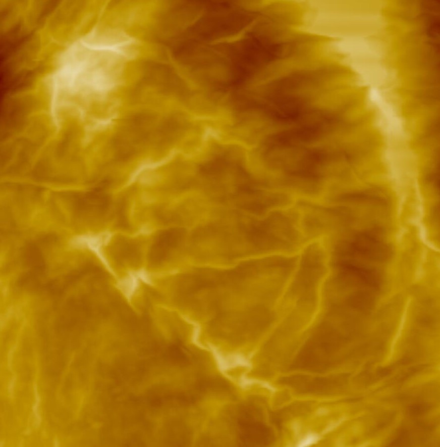 Atomic force microscope scan of healthy skin, showing a soft folded nanotexture with fine raised creases.