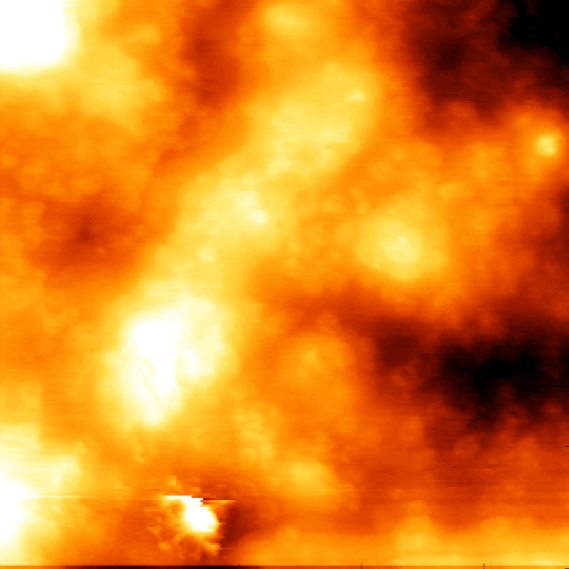 Atomic force microscope scan of a paint surface, showing soft rolling height variation.