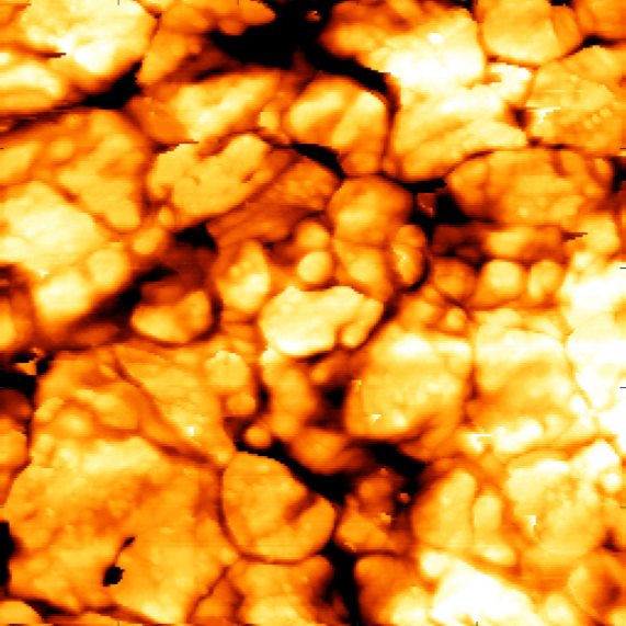 Atomic force microscope scan of a polished iron surface, showing tightly packed grains with visible boundaries.