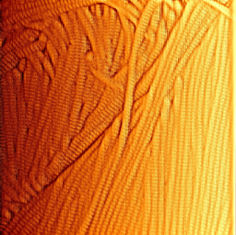 Atomic force microscope scan of skin collagen, showing banded fibres fanning across the frame.